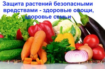 здоровые овощи