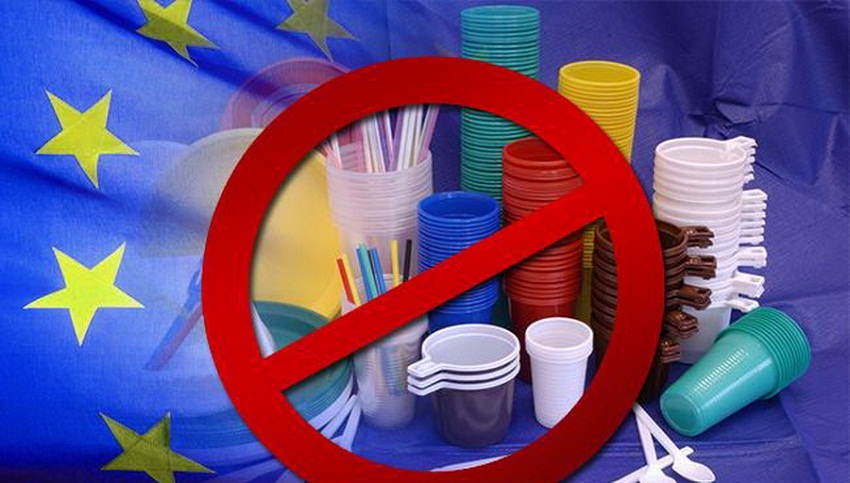 Правительство РФ планирует ввести запрет на одноразовую пластиковую посуду