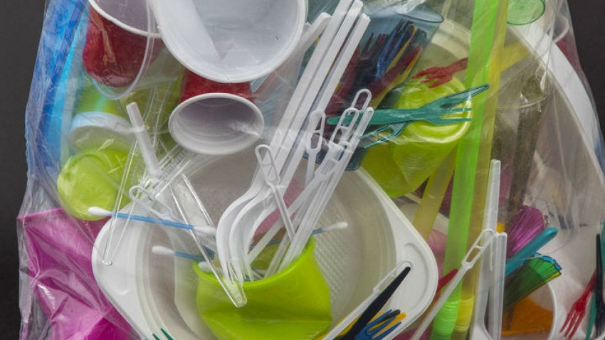 Правительство РФ планирует ввести запрет на одноразовую пластиковую посуду