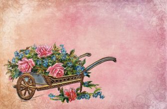 Садовая тачка