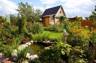 Откуда ждать штраф?