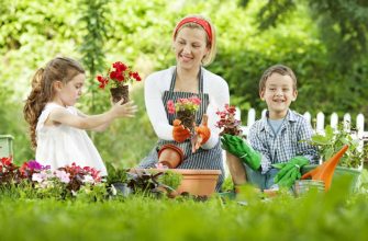 детский цветник