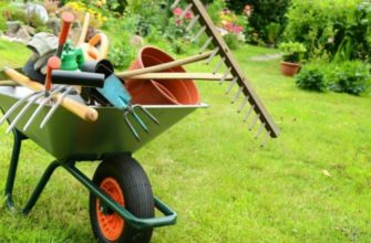 инструменты для дачи