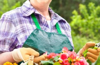 летние работы