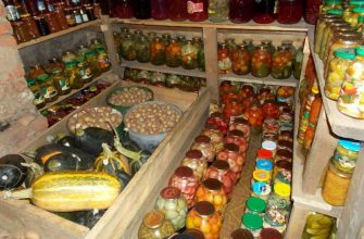 фото погреба