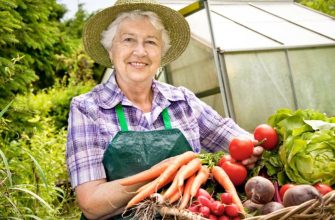 работы в июле