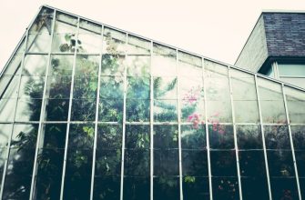 Навести порядок в теплице