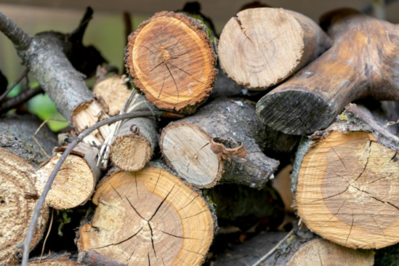 Ольховые дрова против березовых