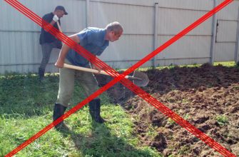 Грядка без перекопки