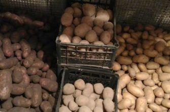 Овощехранилище