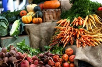 Овощное изобилие