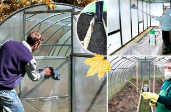 теплица осенью