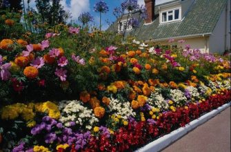 Цветущая клумба