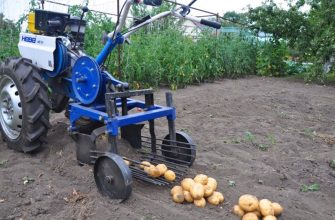 Картофелекопалка в работе