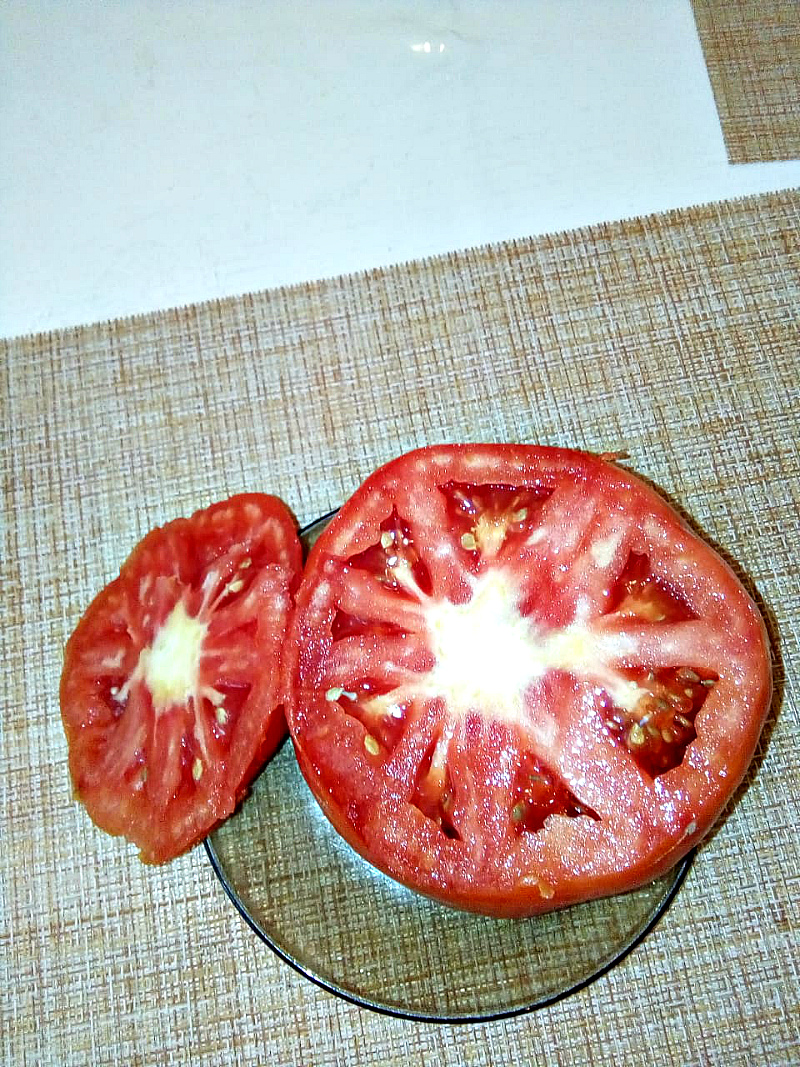 семена помидоров