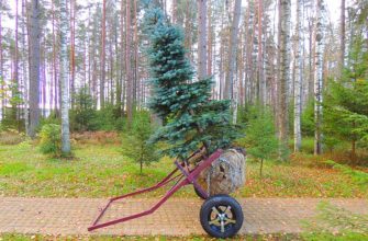 Рохля для перевозки