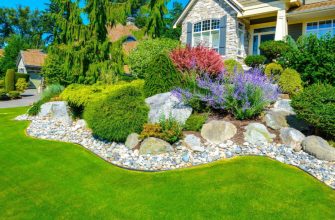 Газон перед домом