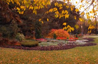 Готовим цветник к зиме