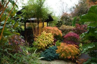 Осенний сад