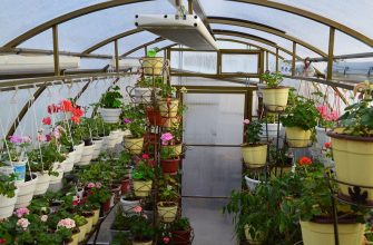 Инфракрасный обогреватель для теплицы