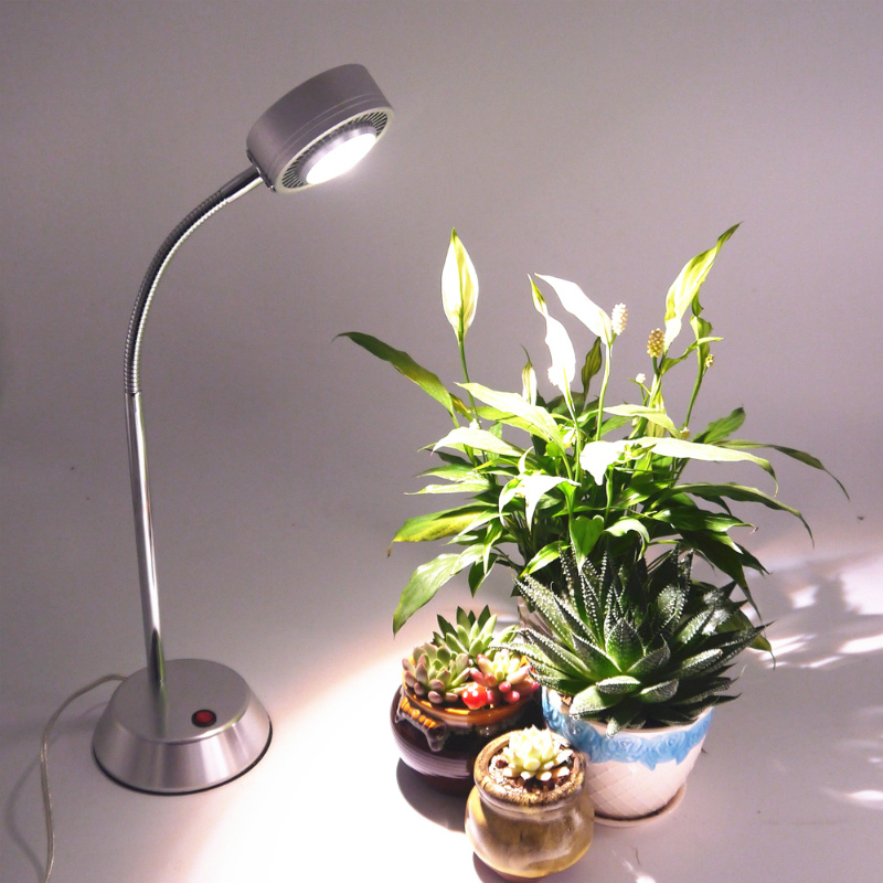 лампа для растений