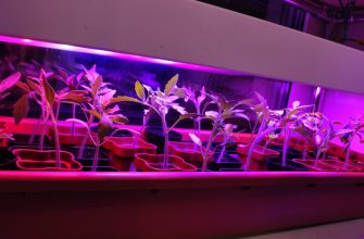 Лампа для растений