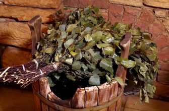 Как запарить березовый веник