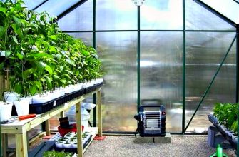 Отопление теплиц в зимнее время