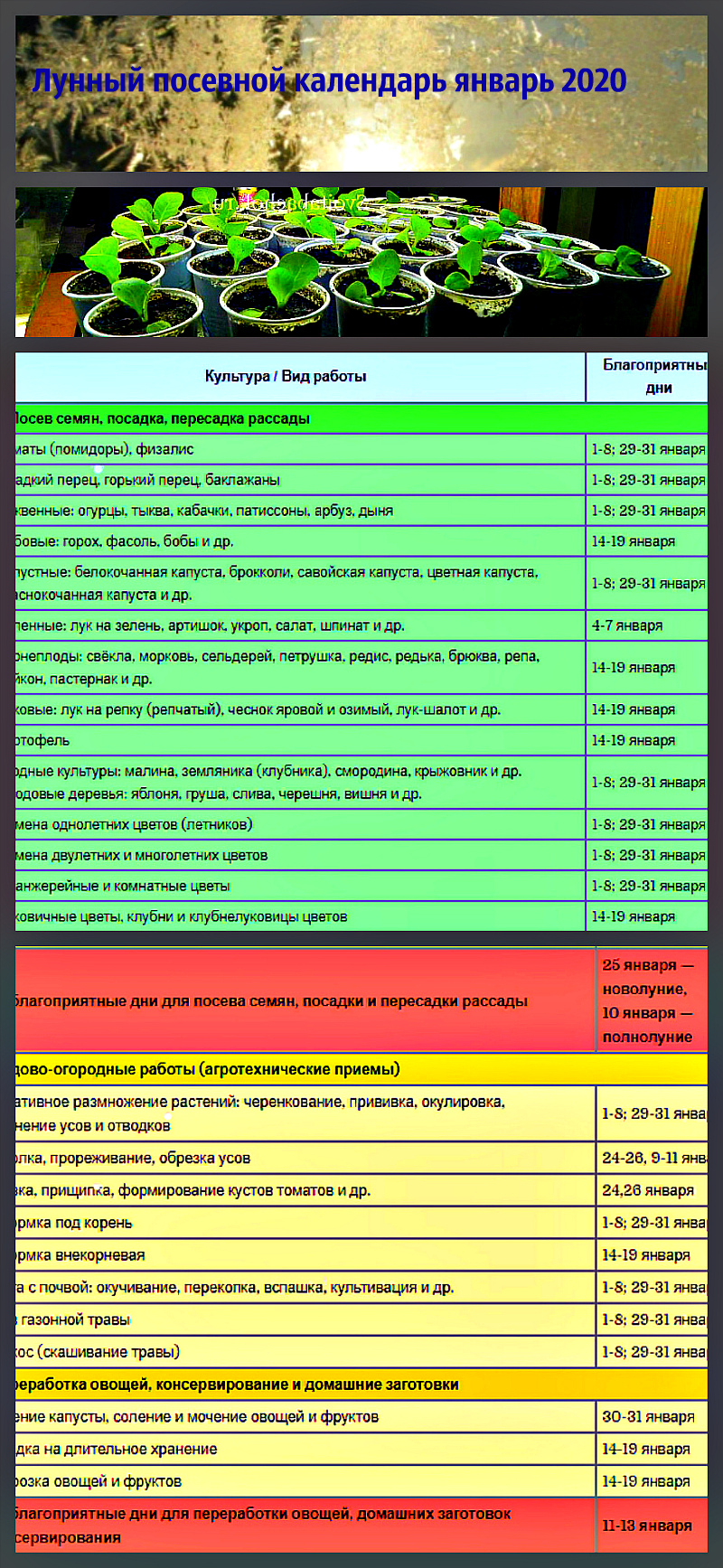 Чем полезна лесная земля для огорода