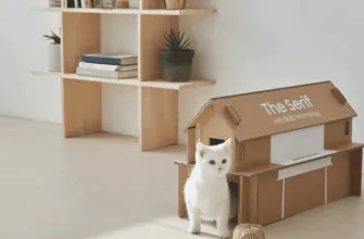 Трансформируемая упаковка