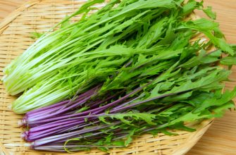 мизуна японская