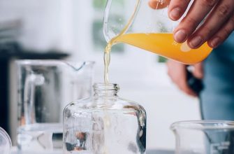 плодовые мушки