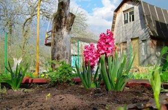 Дачники начинают новый сезон