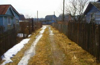 Карантин на даче