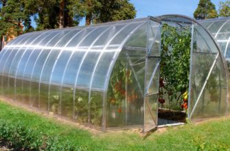 Теплица на участке