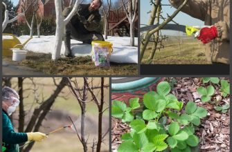 Весенние работы в саду