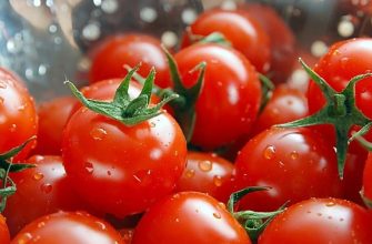 Плоды томатов
