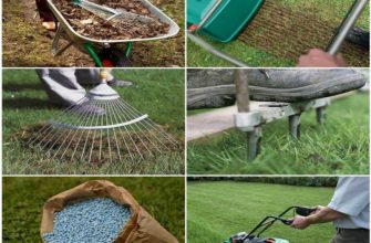 Уход за газоном весной