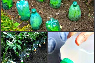 Лайфхаки для дачи