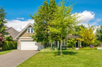 Жидкий газон для обустройства лужайки