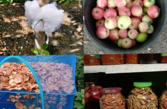 Лайфхаки для садоводов