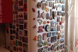 Магнит и холодильник