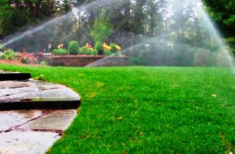 летний газон