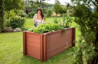 Зелень на высокой грядке