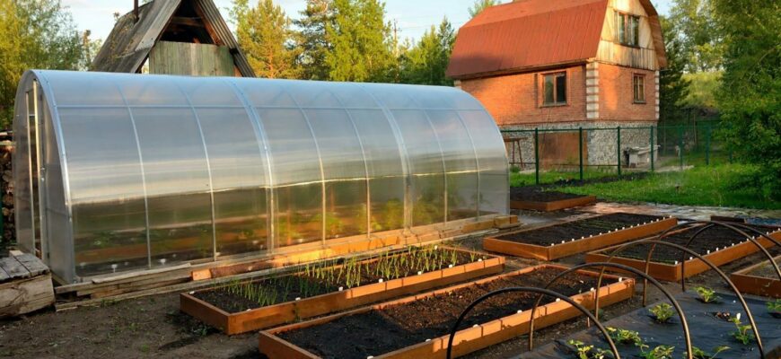 Теплица на даче