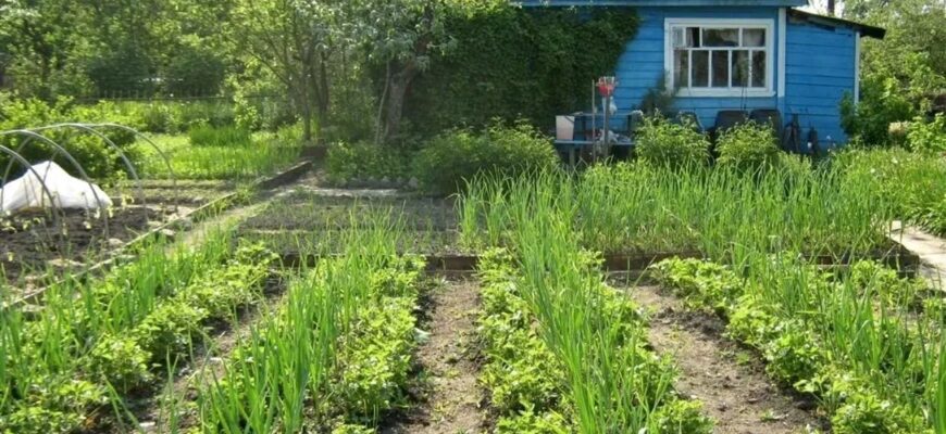 Участок земли в деревне