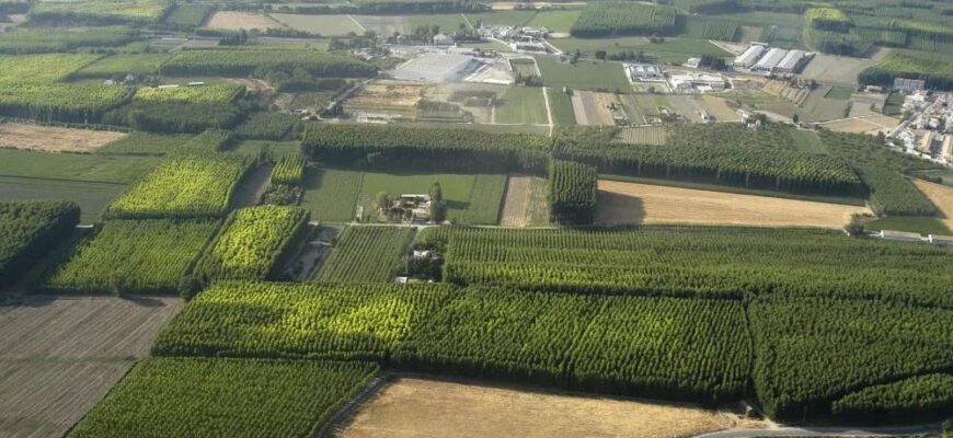 аренда земельного участка сельскохозяйственного назначения