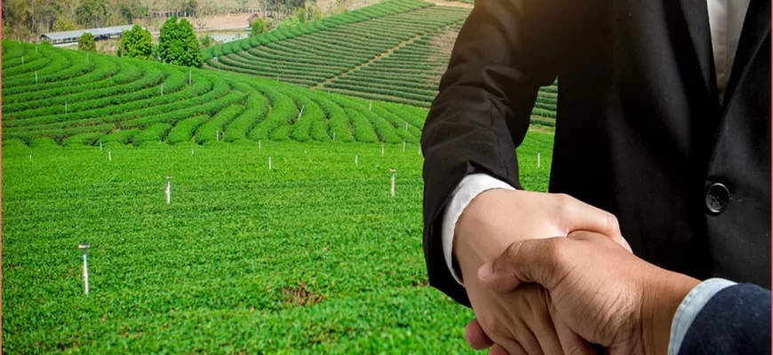 Аренда земли