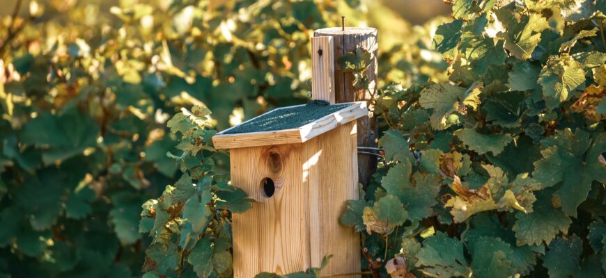 скворечник-кормушка