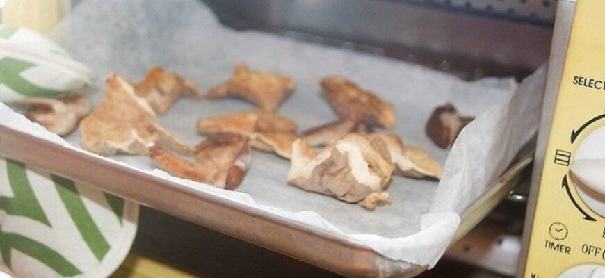 Сушка грибов в газовой духовке